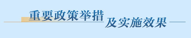 重要政策舉措及實(shí)施效果